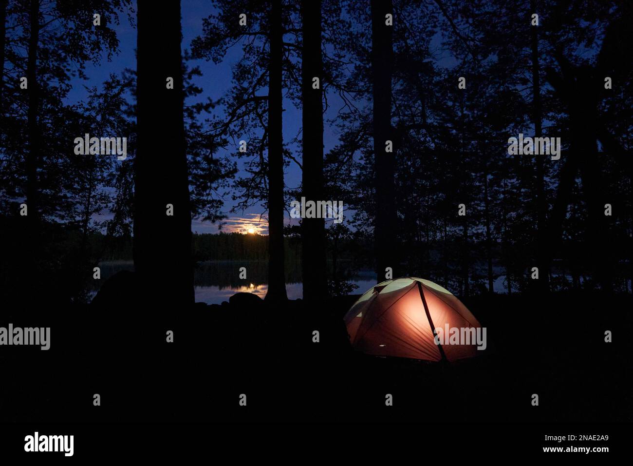 Night campsite with a illuminated tent and setting sun in forest. Stock Photo