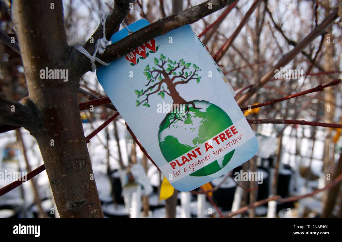 This Tuesday, Jan. 24, 2012 photo shows a tag on a tree on display at