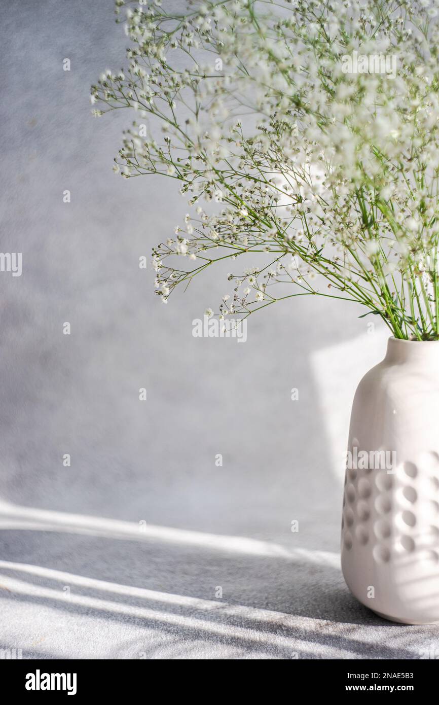 White gypsophila flowers in the ceramic vase Stock Photo