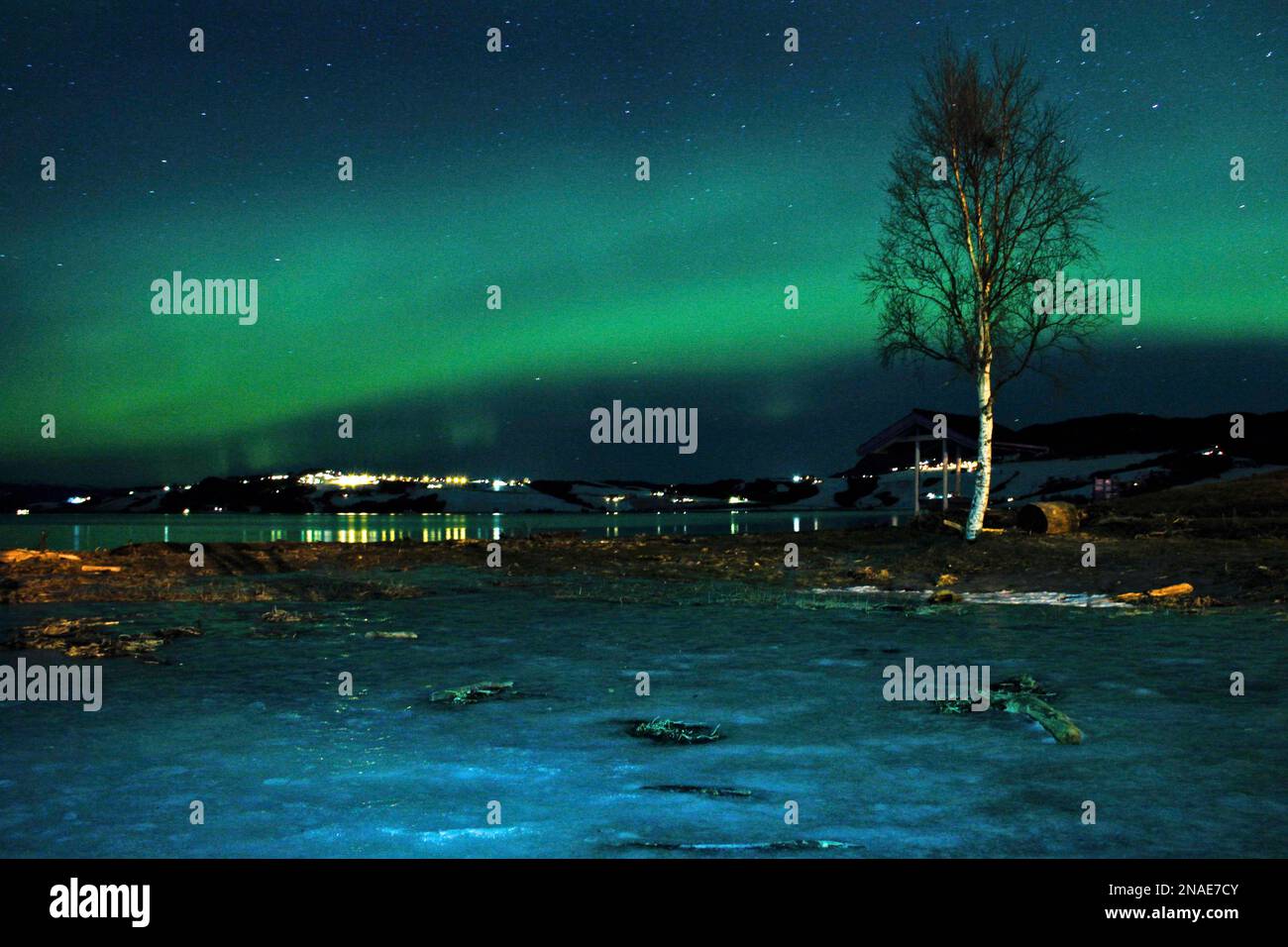 The aurora borealis, or Northern Lights, are seen near the city of Trondheim,  Norway Tuesday Jan. 23, 2012. Stargazers were out in force in northern  Europe on Tuesday, hoping to be awed