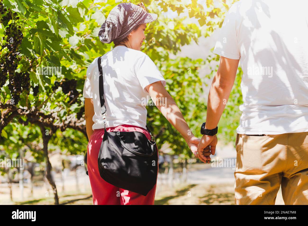 Couple holding hands walking vineyard hi-res stock photography and ...