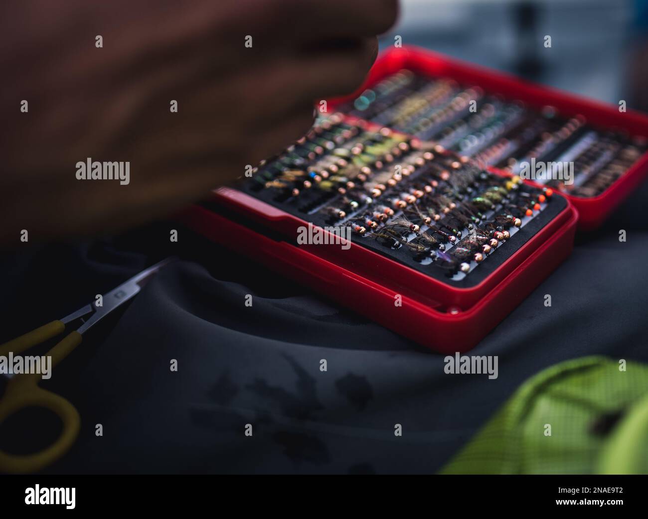 A close-up photo of a box of artificial flies used for fly fishing ...