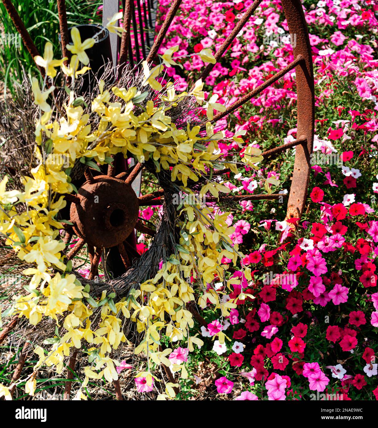 Wagon Wheel landscaping with florals Stock Photo