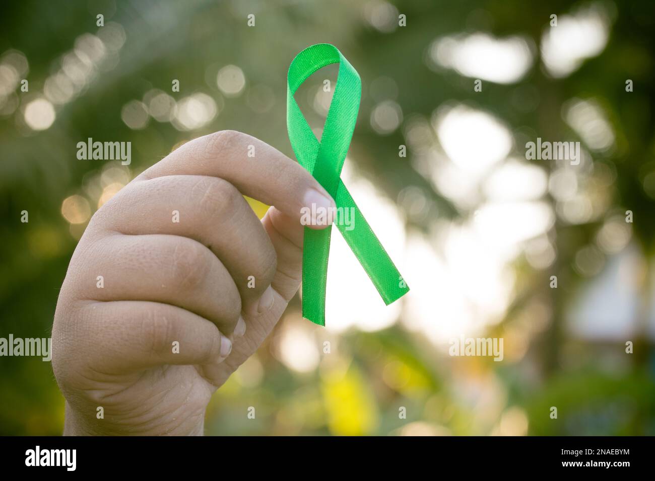 Lymphoma cancer ribbon hi-res stock photography and images - Alamy