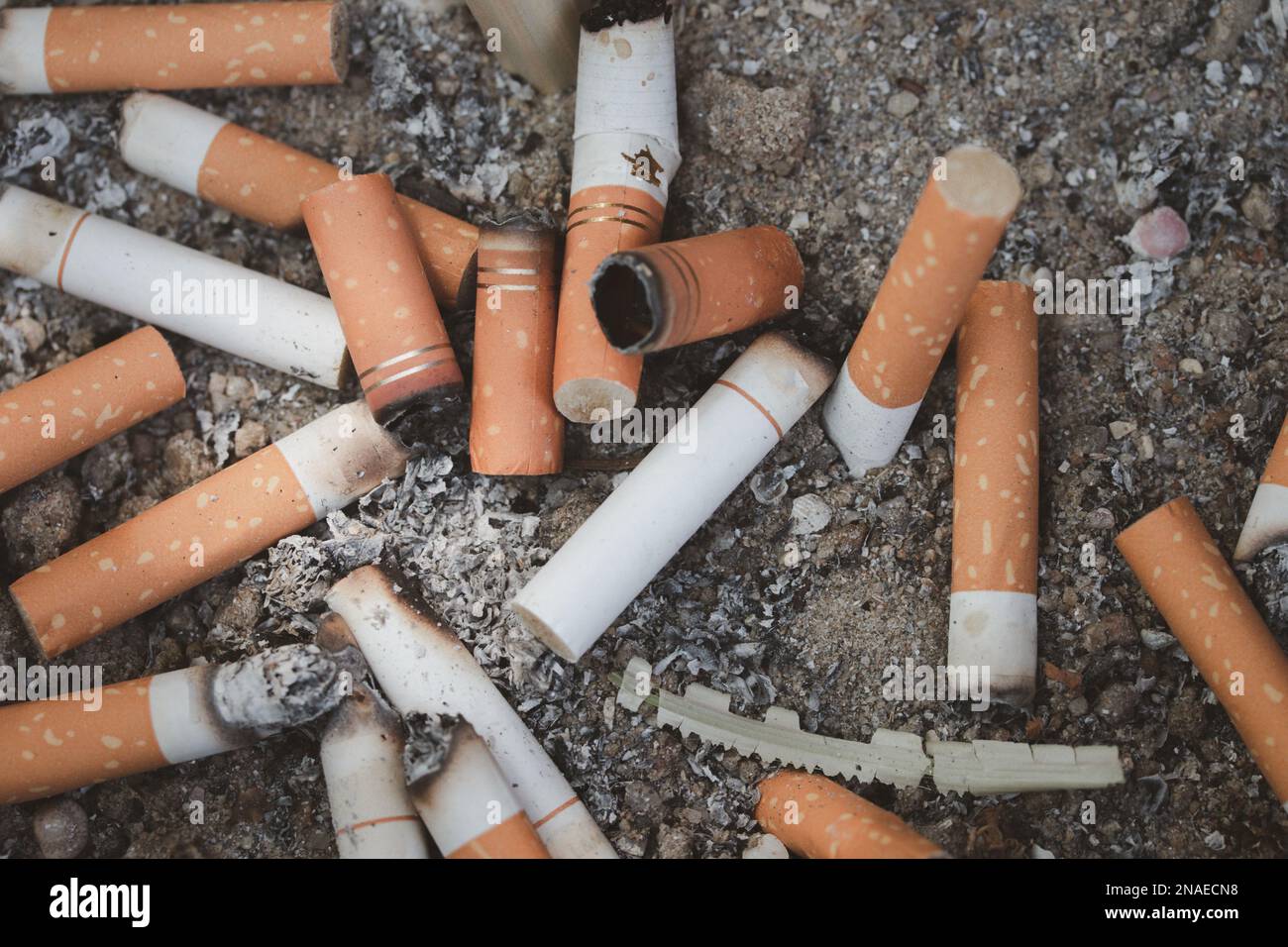 cigarette residue cigarette butts combined in a cigarette disc Concept of many cigarette  debris after smoking Stock Photo
