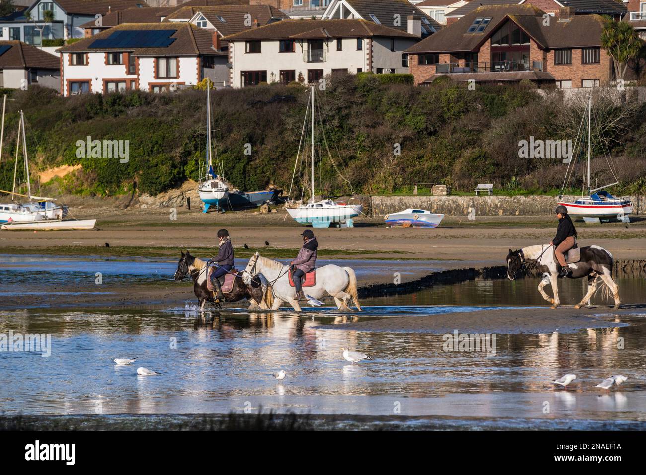 Horse riders riding along the Gannel River in Newquay in Cornwall in