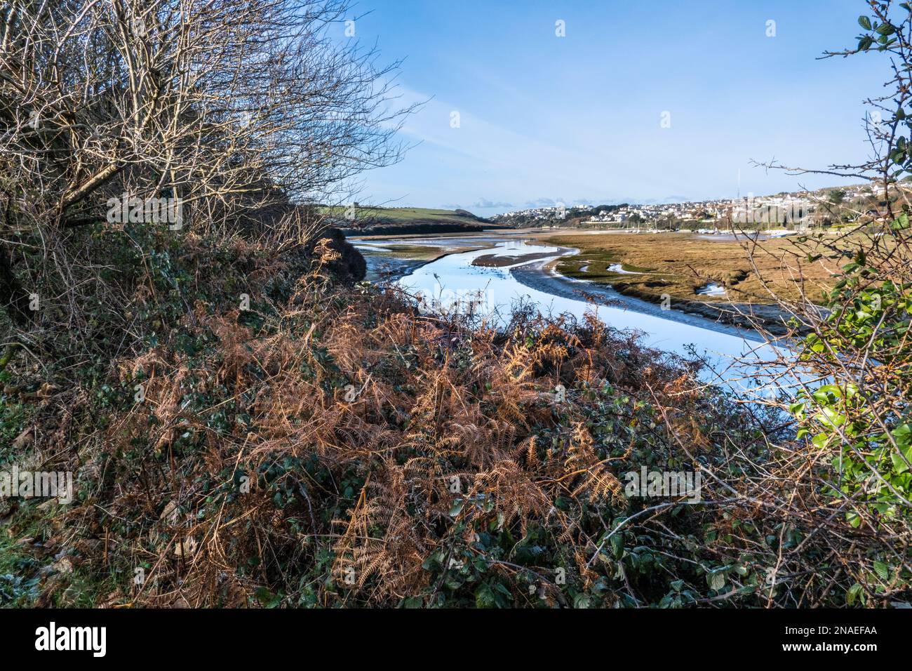 A view of late afternoon light over the Gannel tidal estuary at low tide in Newquay in Cornwall in the UK. Stock Photo