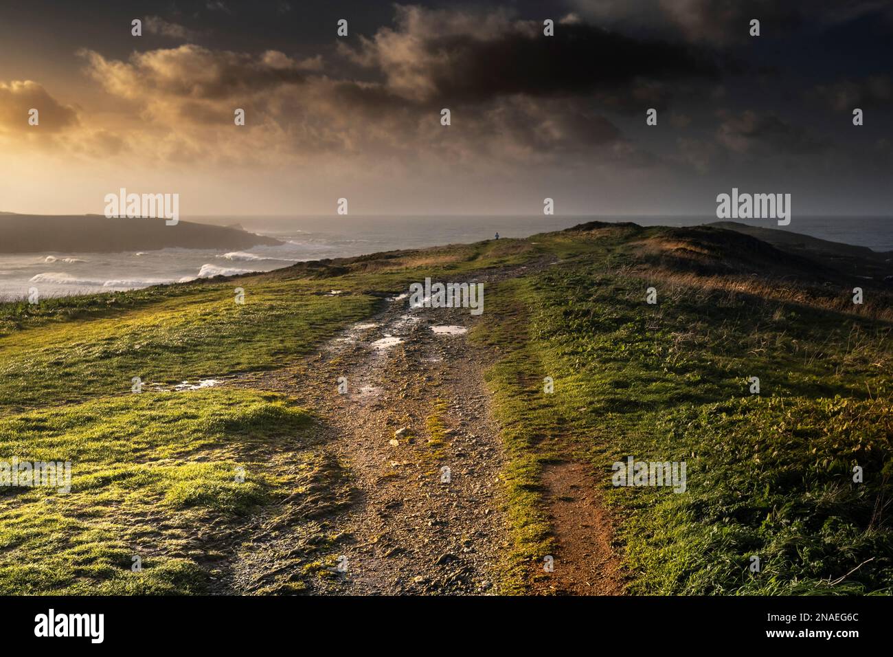 Evening light over a rough footpath on the rugged Pentire Point East on the coast of Newquay in Cornwall in England in the UK. Stock Photo