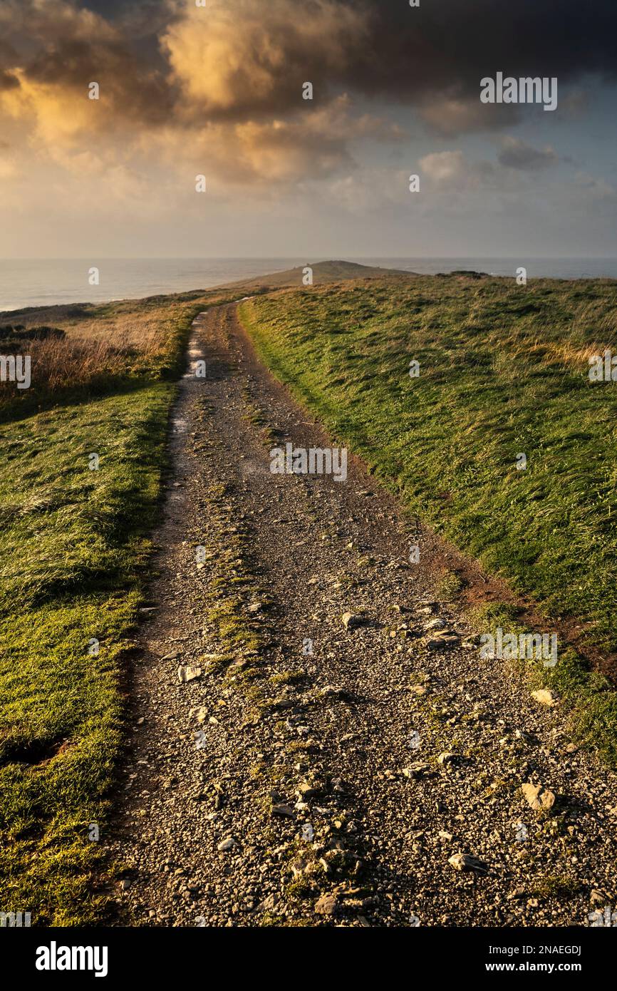 Evening light over a rough footpath on the rugged Pentire Point East on the coast of Newquay in Cornwall in England in the UK. Stock Photo