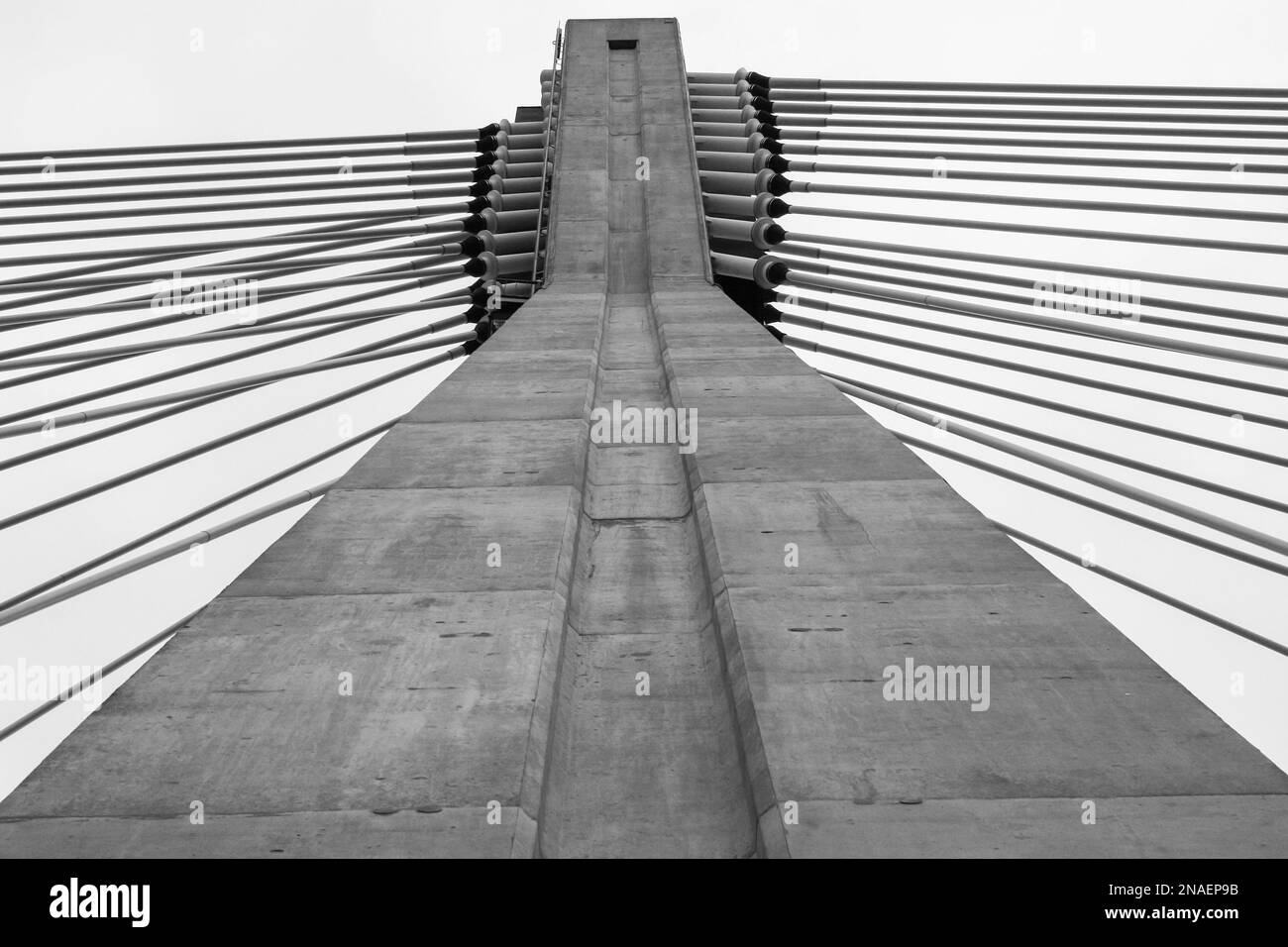 Concrete ylon with attached tie rods of cable-stayed bridge Stock Photo