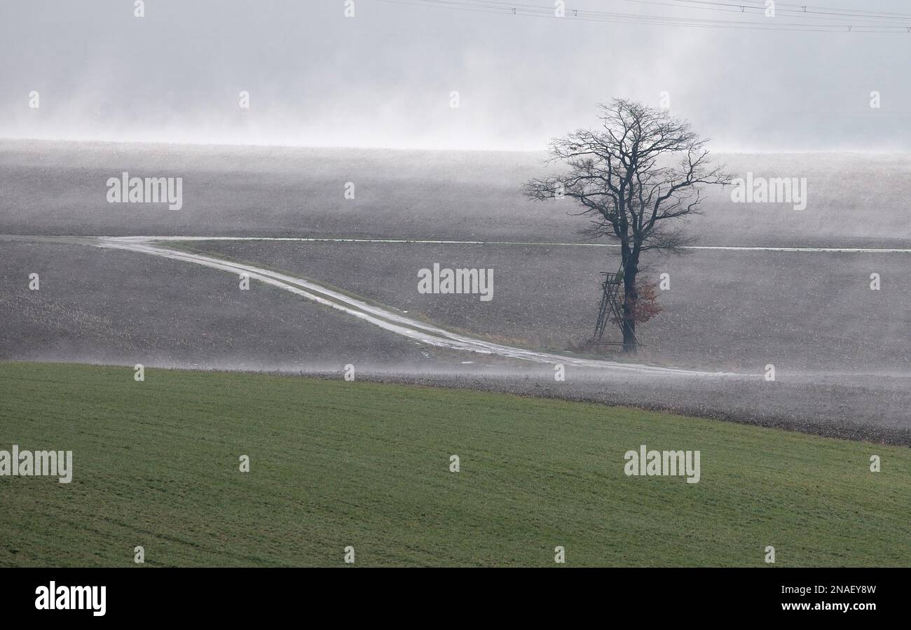 13 February 2023, Saxony, Zwönitz A hunting lodge in a field. Plus