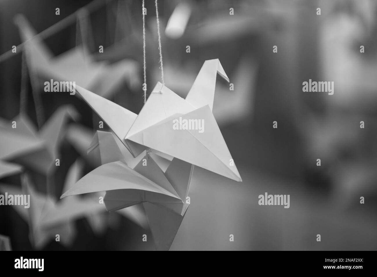 Japanese folded Origami cranes hanging on with strings. Hundreds