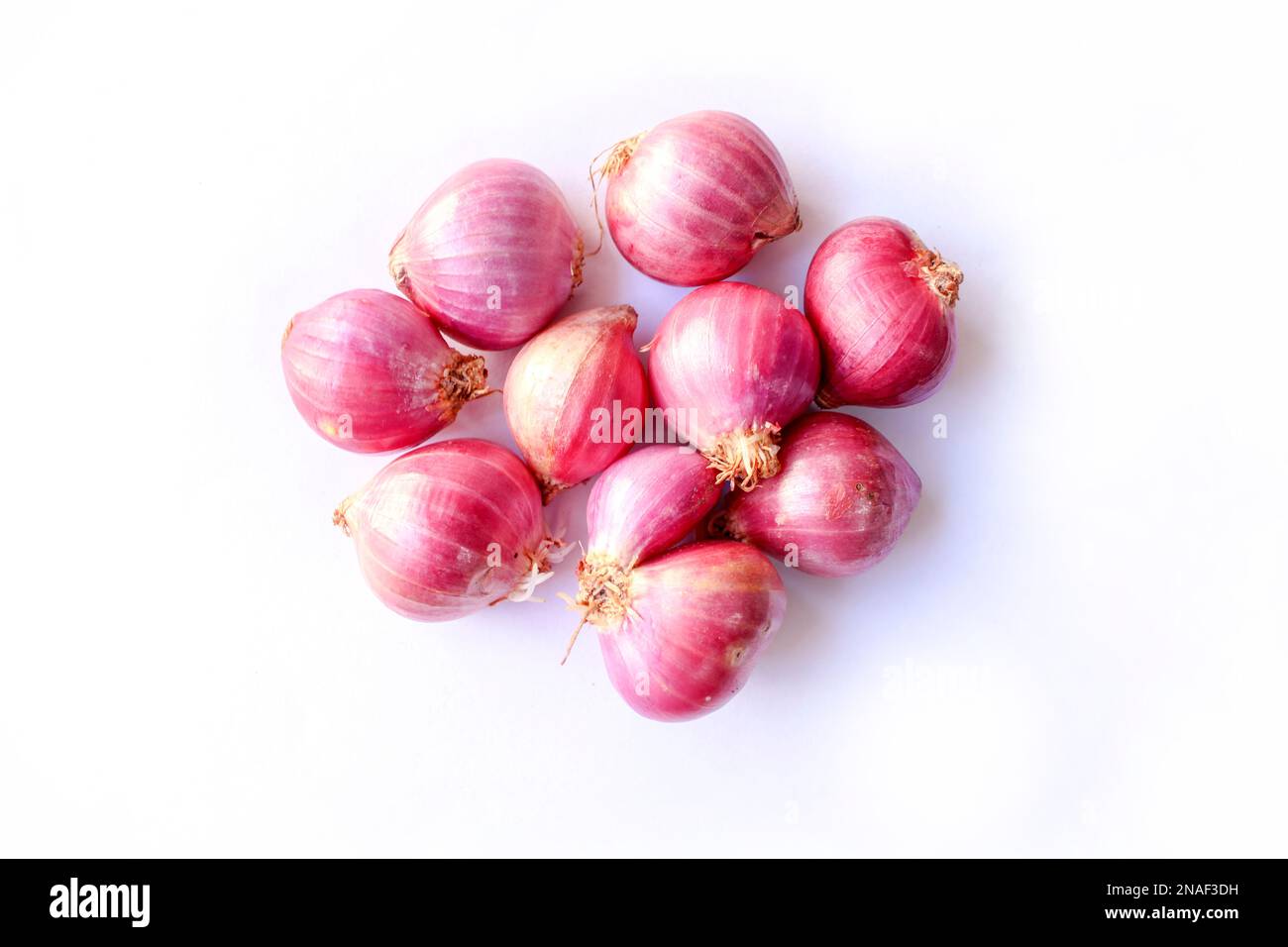 Fresh plant stock Cut Out Stock Images & Pictures - Alamy