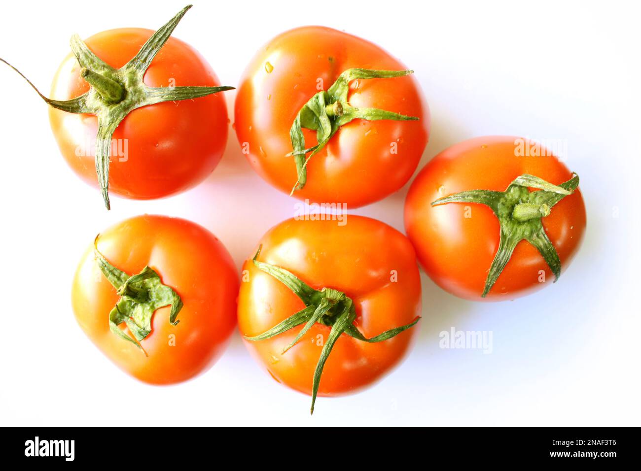 Fresh tomato stock image on white background Stock Photo - Alamy
