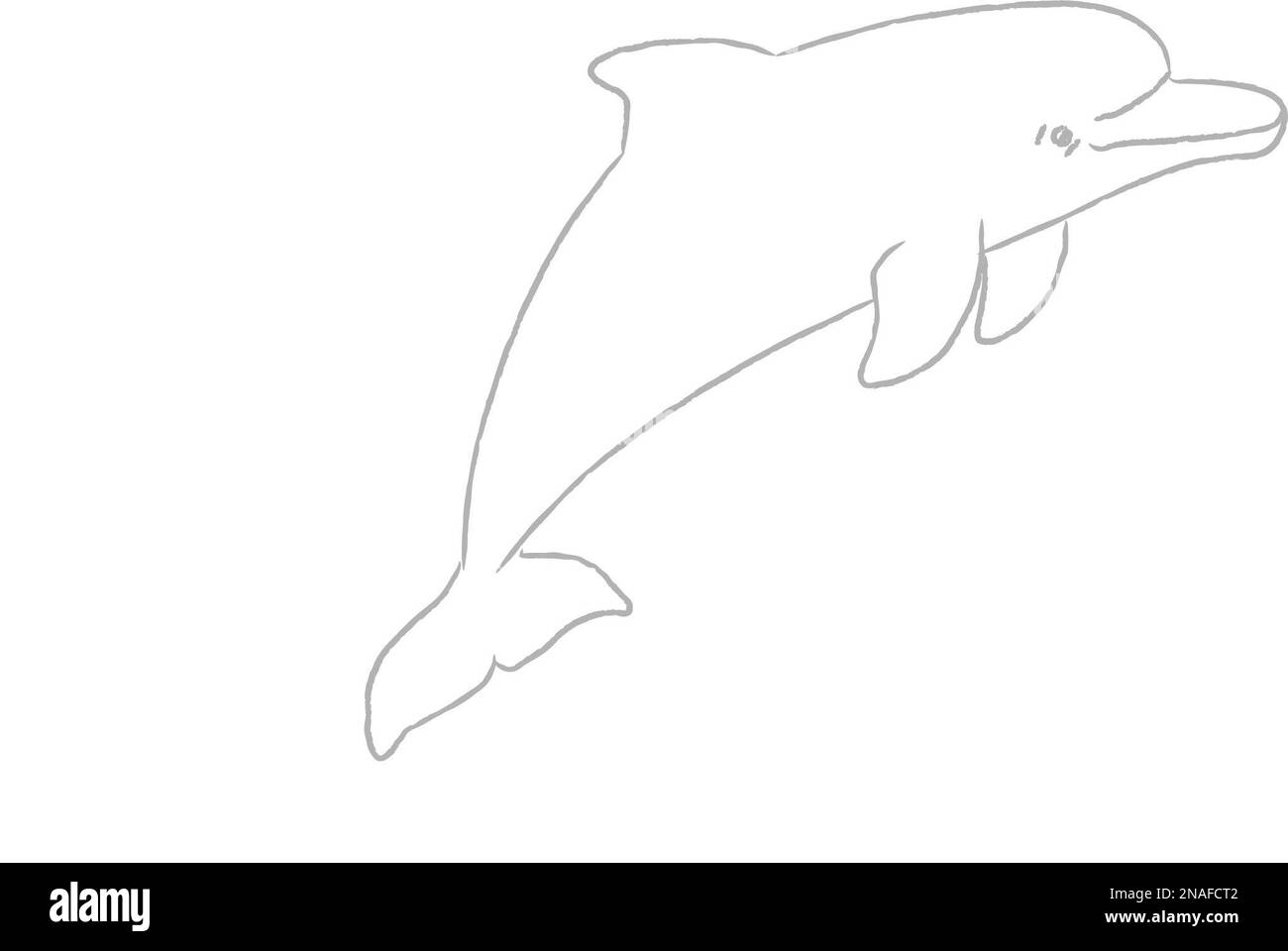 Step 4 how to draw a dolphin Stock Photo Alamy