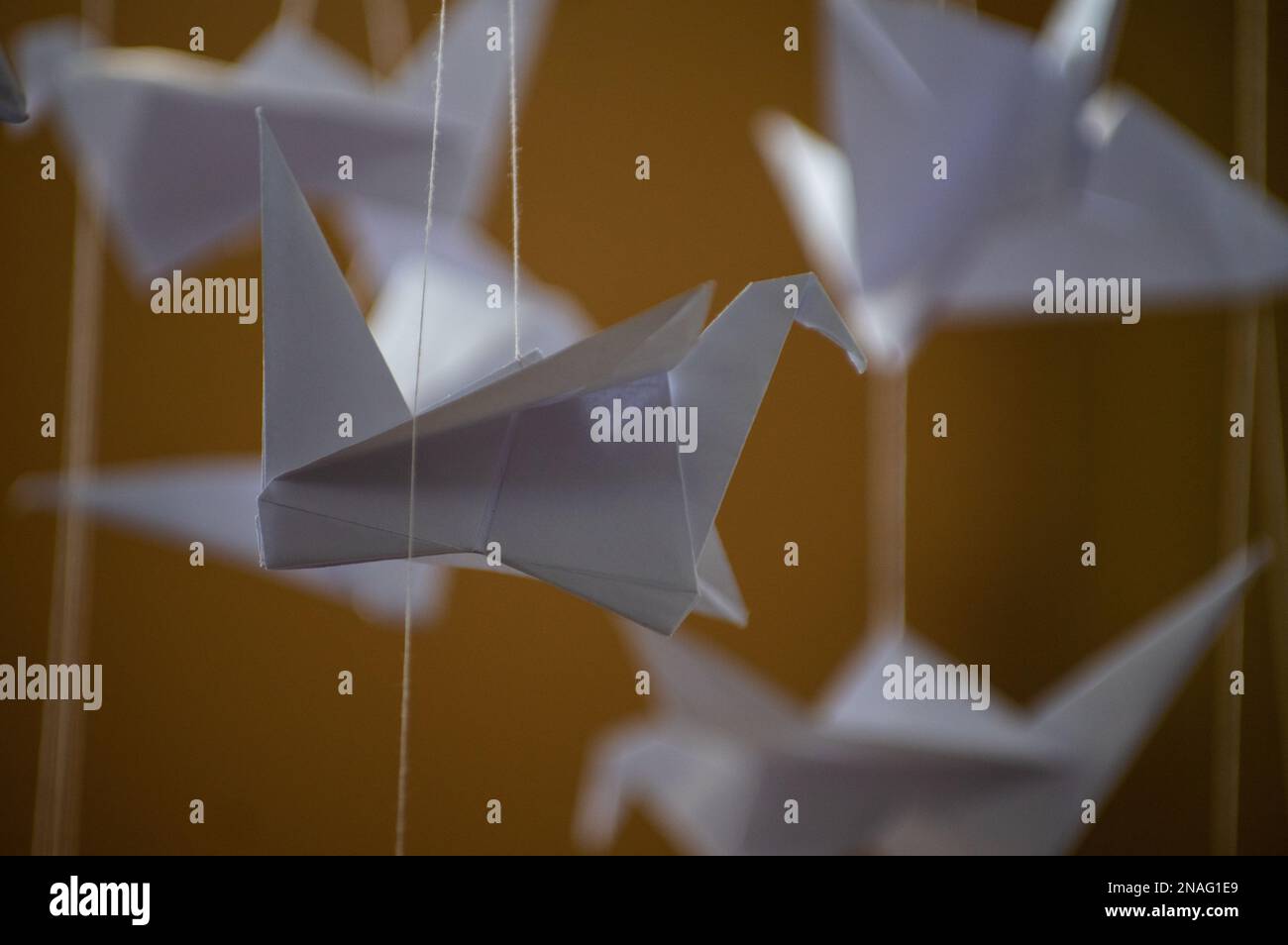 Japanese folded Origami cranes hanging on with strings. Hundreds