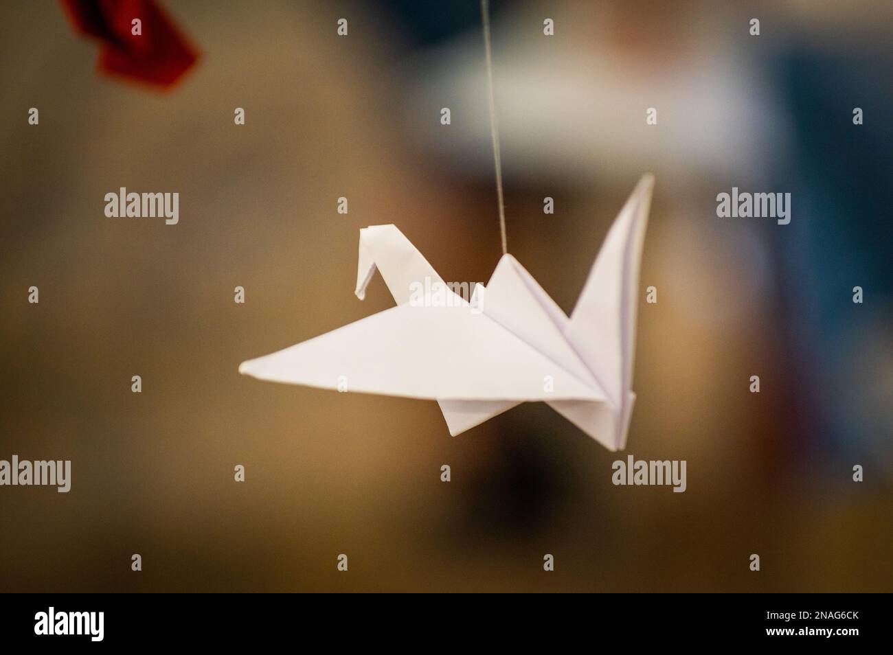 Japanese folded Origami cranes hanging on with strings. Hundreds