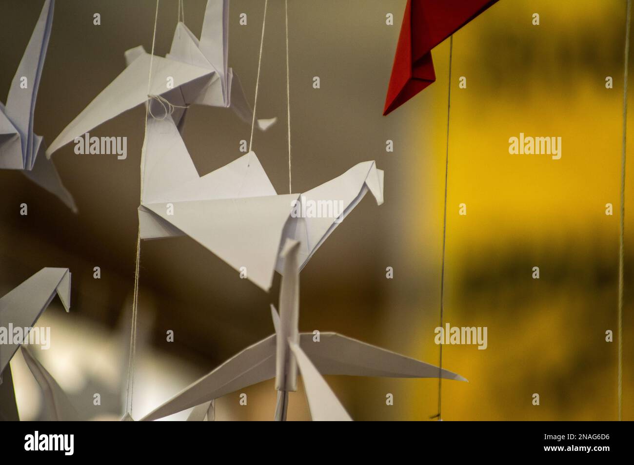 Japanese folded Origami cranes hanging on with strings. Hundreds