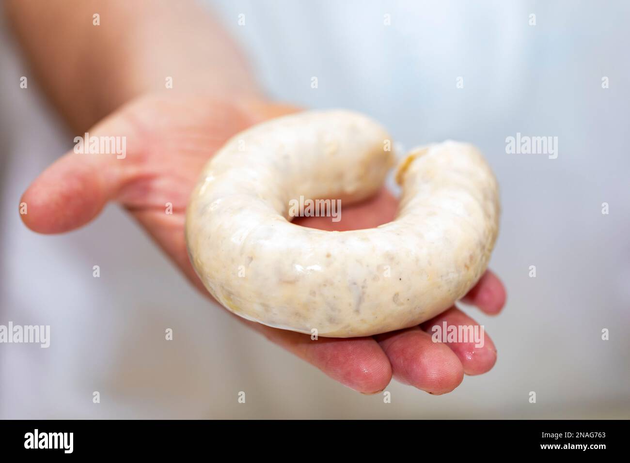 Botifarra d'ou (egg pork sausage) Stock Photo