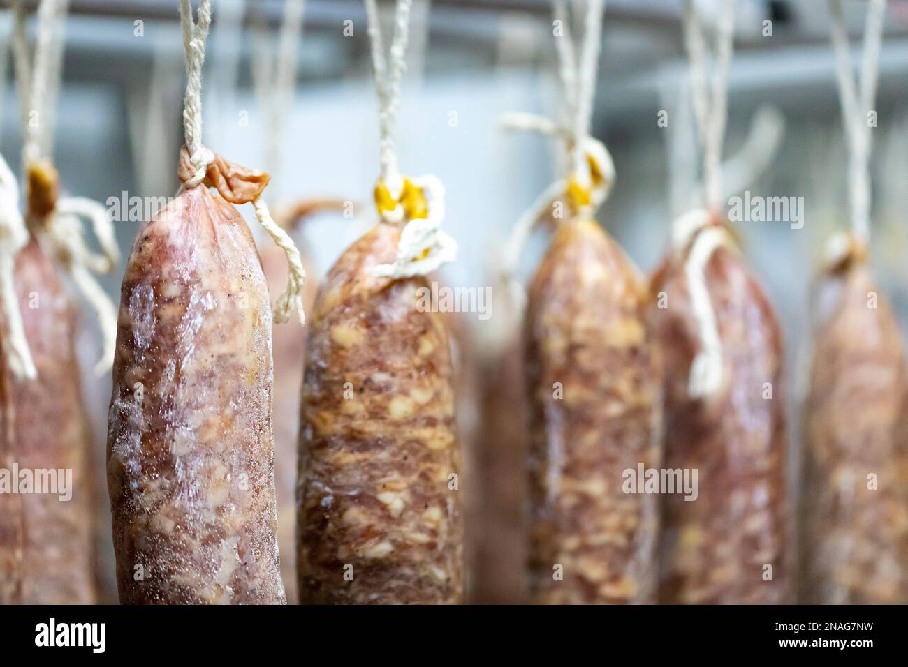 Llonganissa (cured & dried pork sausage) Stock Photo