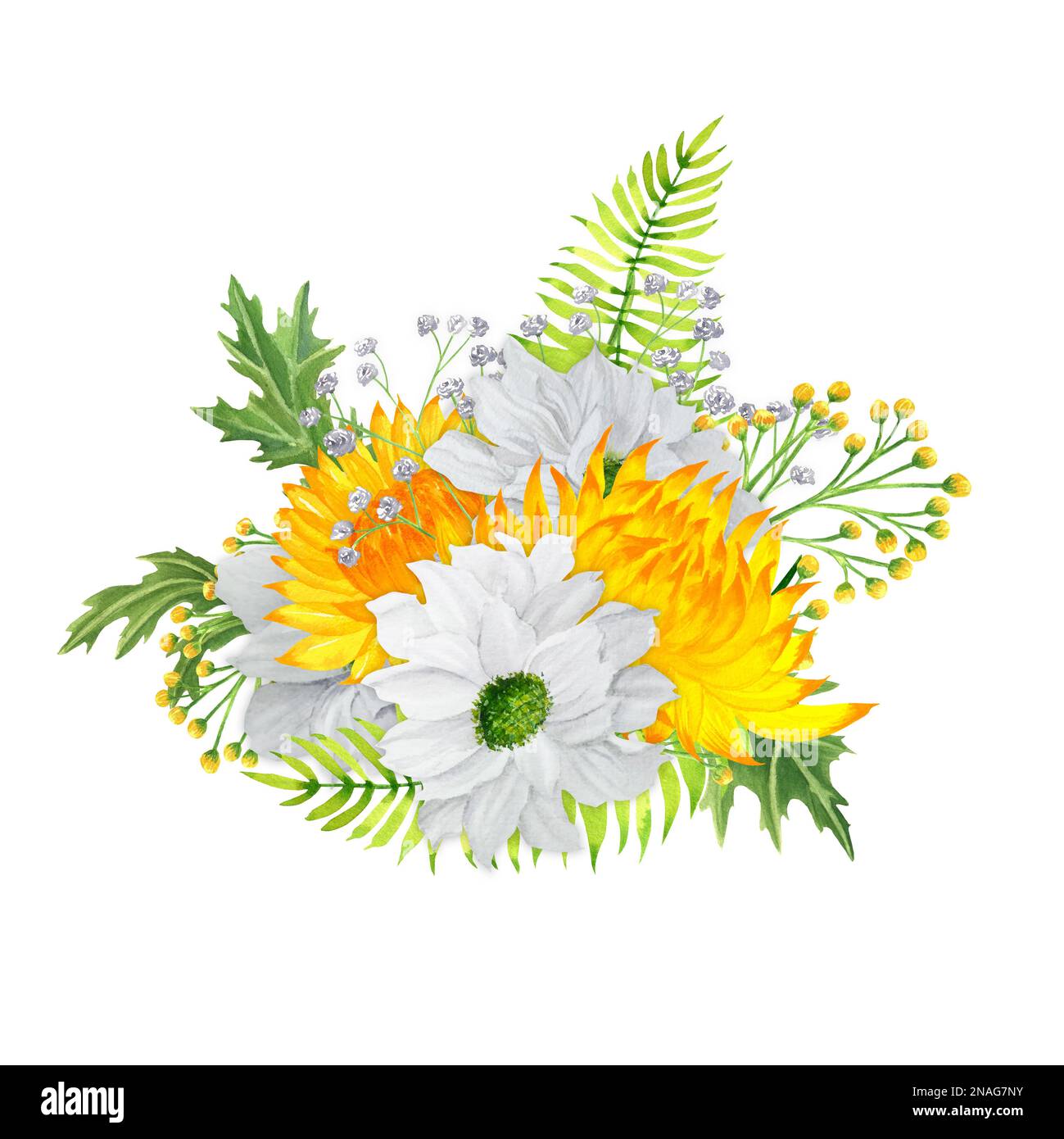 Hand-drawn watercolor composition with yellow and white chrysanthemum flowers and leaves. A small part of the Big FLOWER set Stock Photo