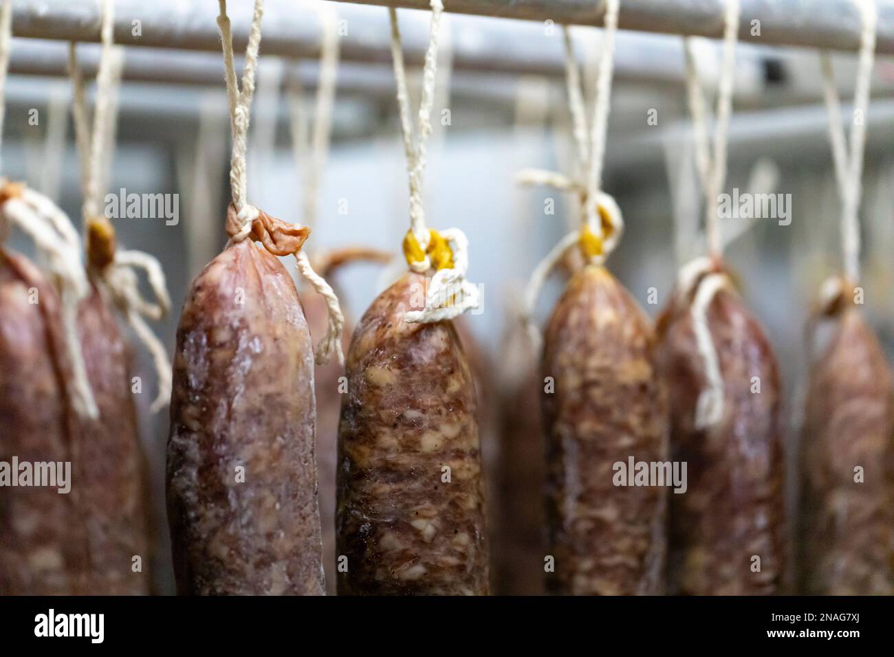Llonganissa (cured & dried pork sausage Stock Photo Alamy
