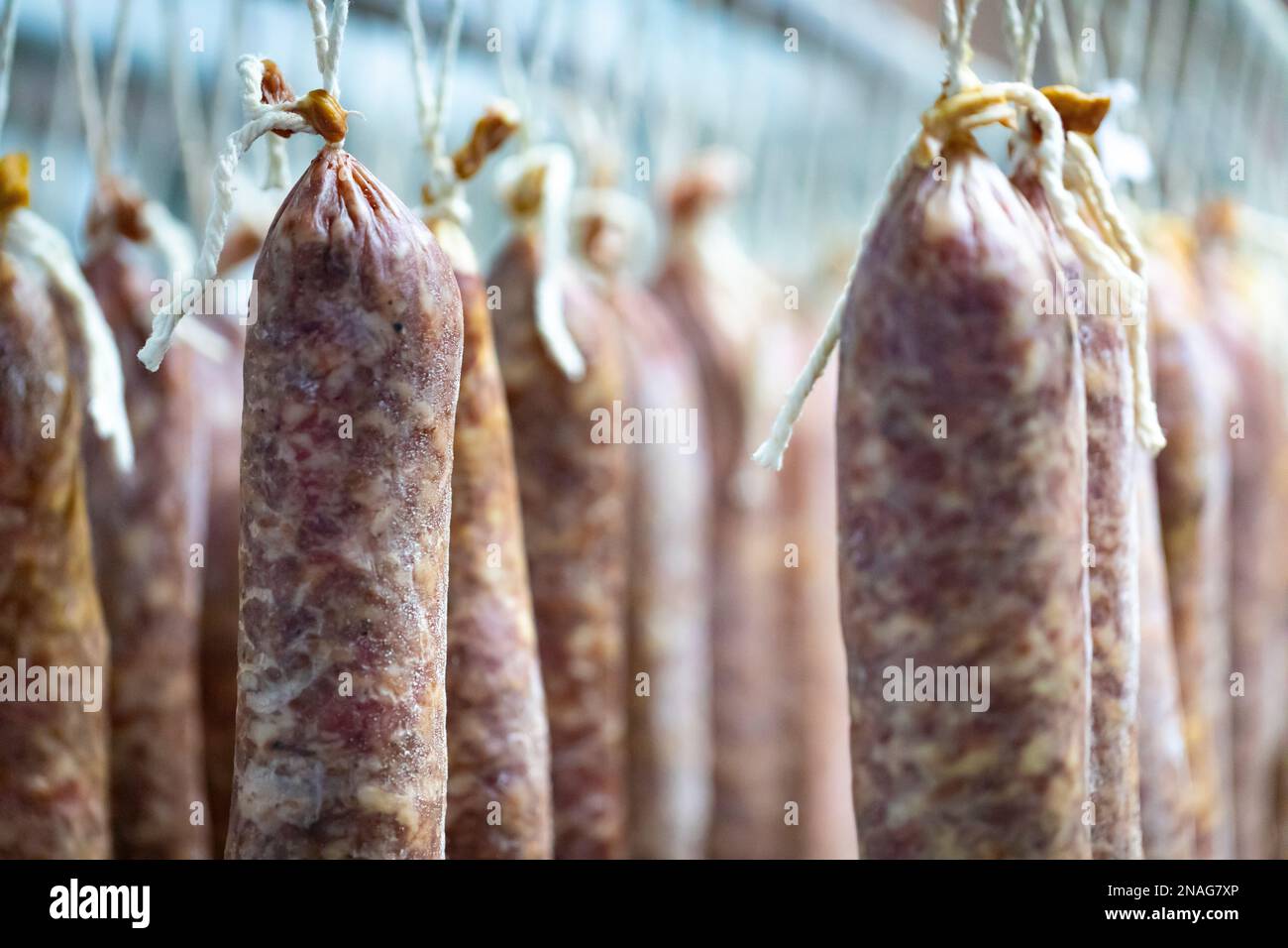 Llonganissa (cured & dried pork sausage) Stock Photo