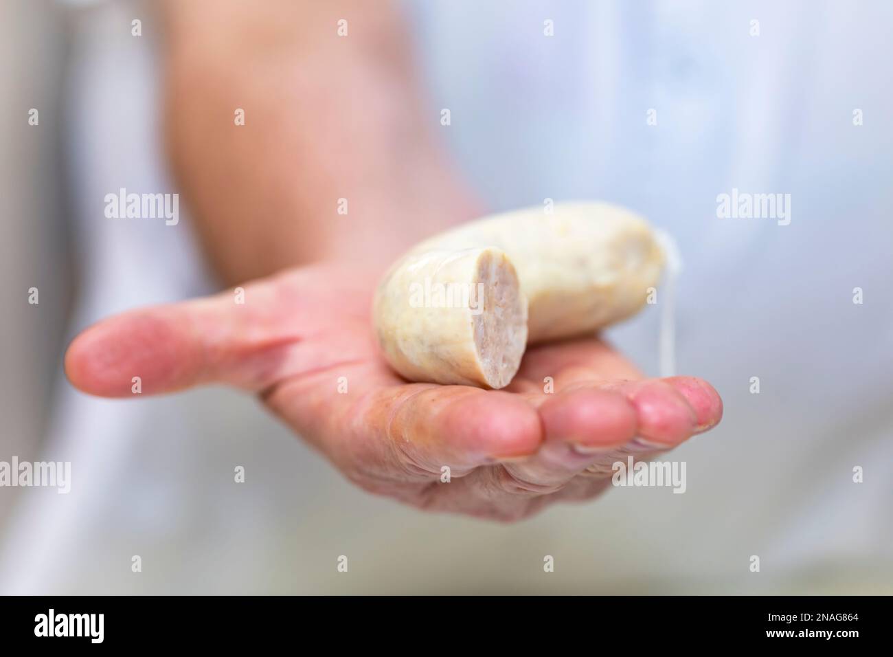 Botifarra d'ou (egg pork sausage) Stock Photo