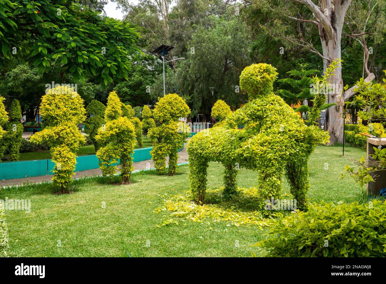 Shrubs trimmed into the shape of people & animals as a topiary in a park in San Bartolo Coyotepec, Oaxaca, Mexico. Stock Photo