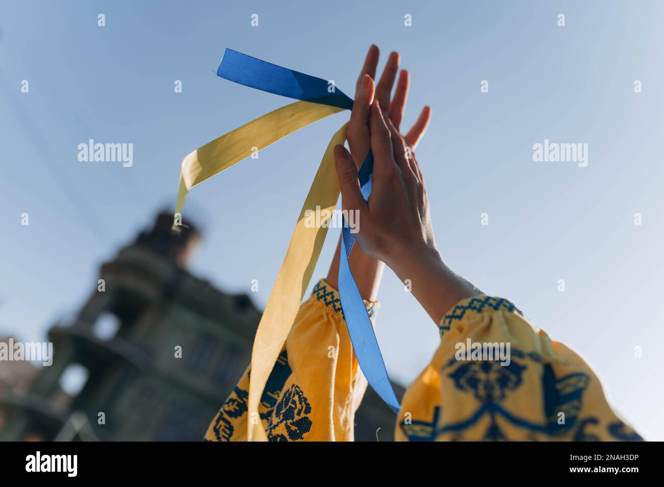the hands of a young girl hold the Ukrainian flag. A girl in an embroidered shirt. War in Ukraine. free Ukraine Stock Photo