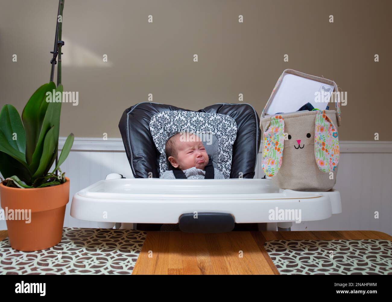 Baby first Easter basket crying in high chair with plant and empty