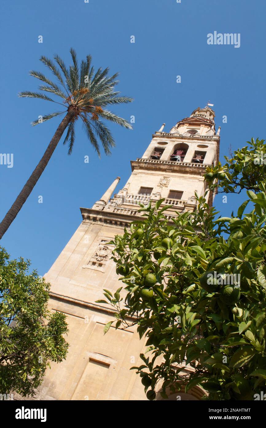 Torre del Alminar, Mezquita, Cordoba, Andalusia, Spain Stock Photo