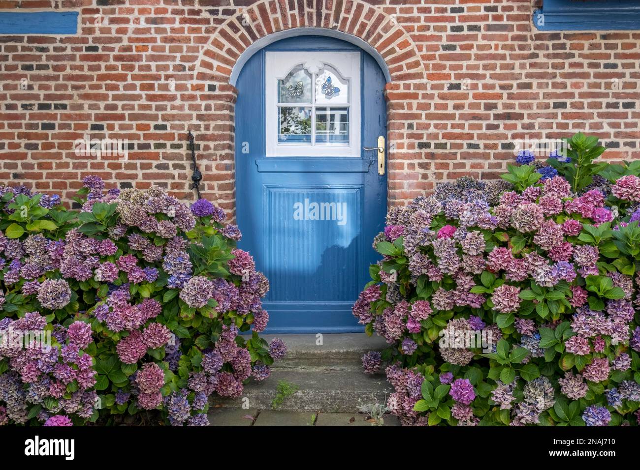 House entrance with hydrangeas Stock Photo