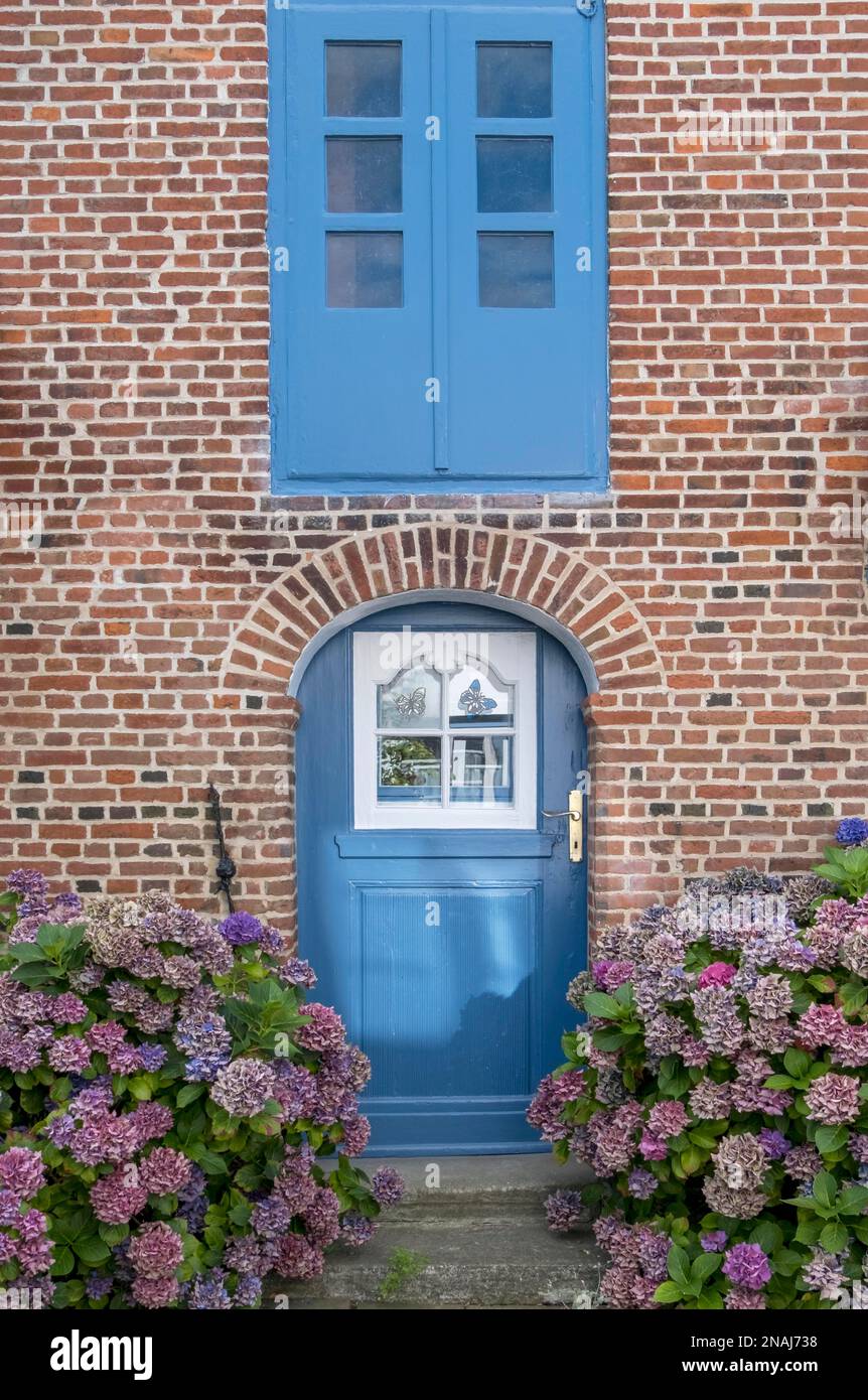 House entrance with hydrangeas Stock Photo