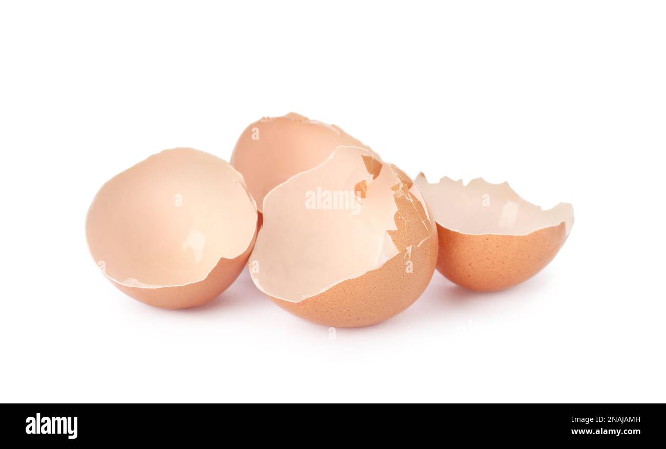 Egg shells on white background. Composting of organic waste Stock Photo