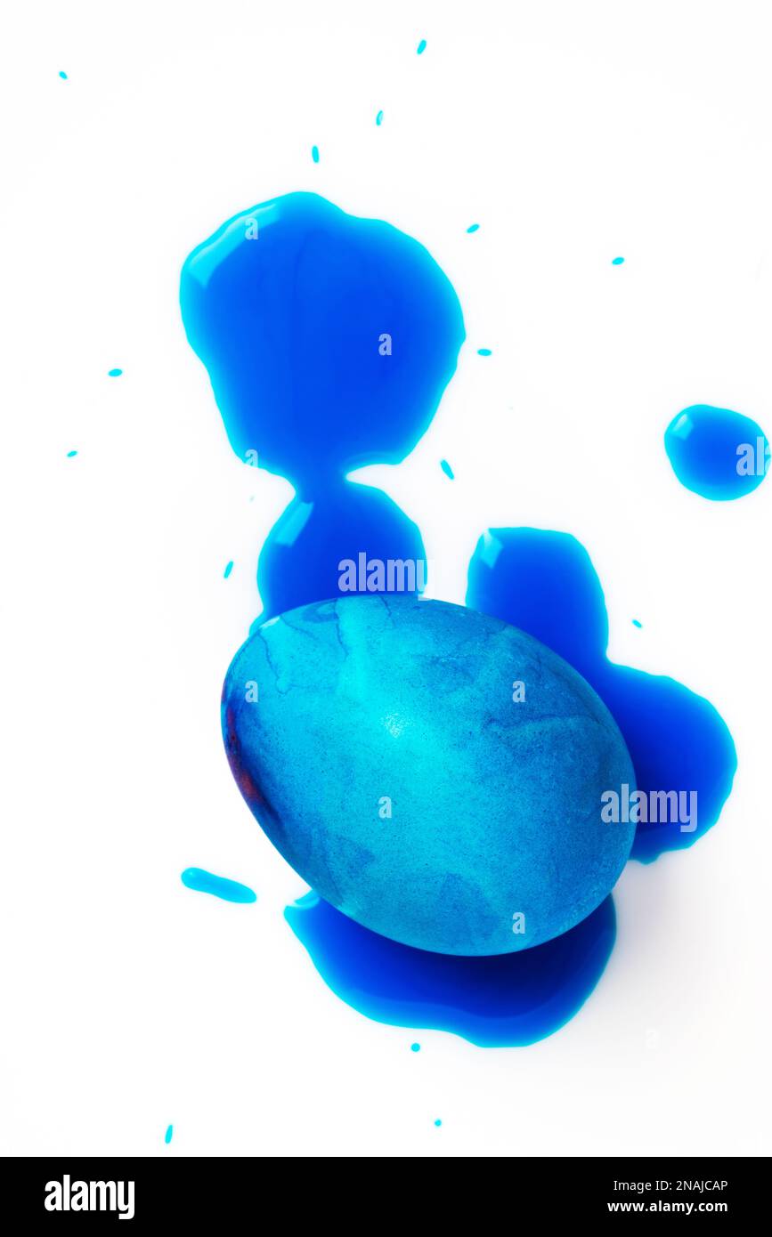 Blue easter egg and liquid food coloring on white background. Close up shot. Stock Photo