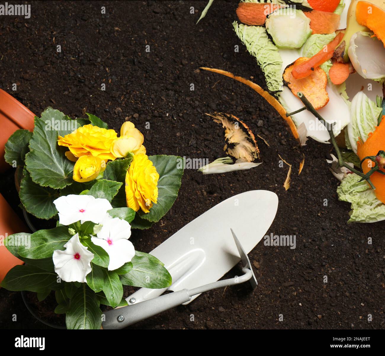 Gardening tools, flowers and organic waste for composting on soil, flat