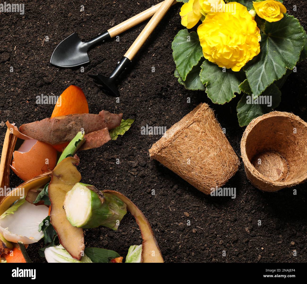 Gardening tools, flower and organic waste for composting on soil, flat