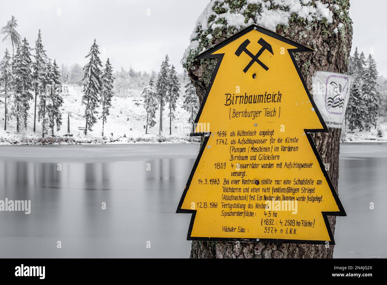 Pear Tree Pond Harz in Winter Stock Photo