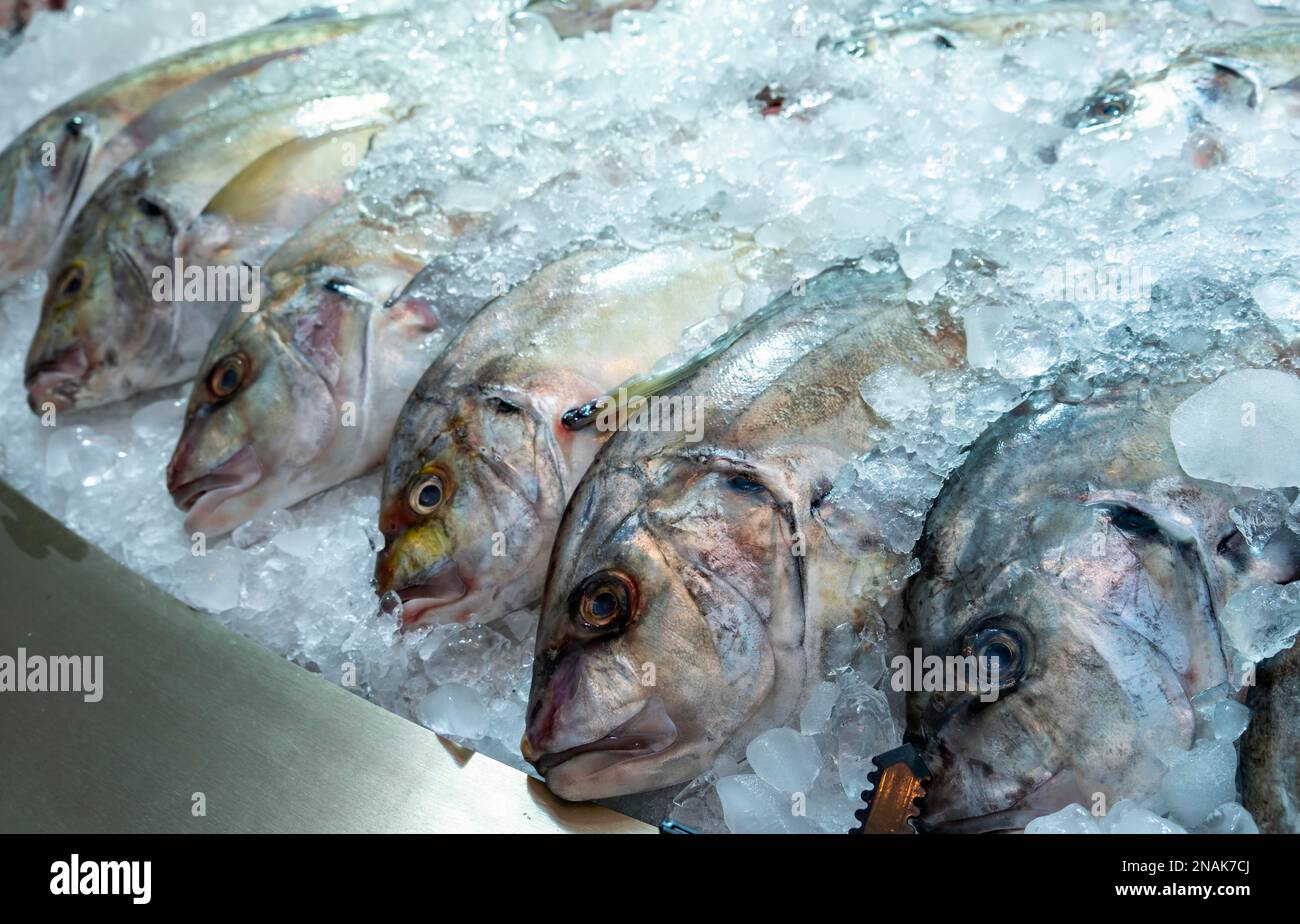 Zubidi fish, Mina District Fish Market, Old Doha Port, Qatar Stock