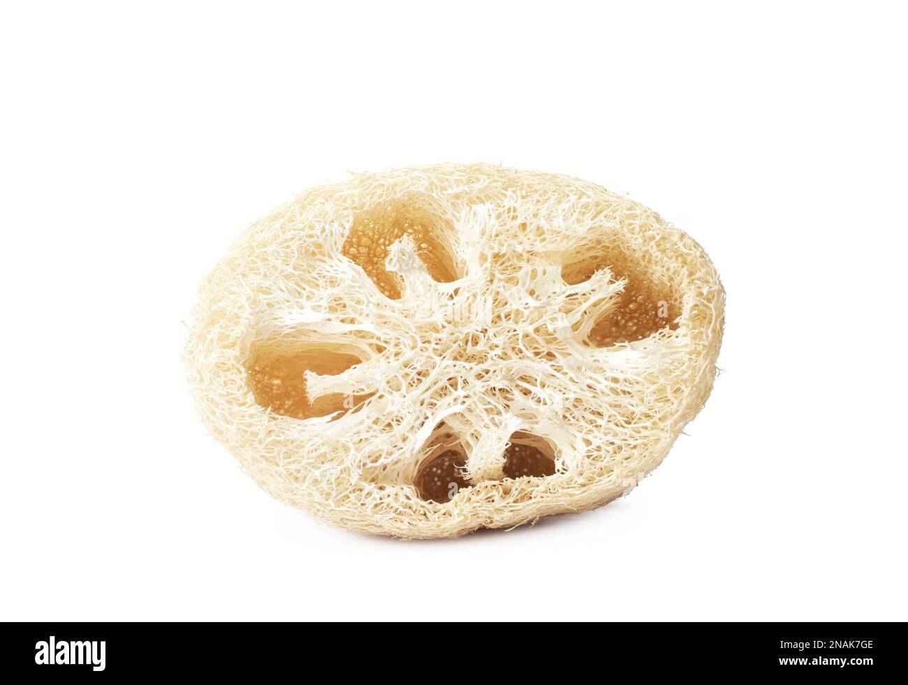 Loofah sponge Cut Out Stock Images & Pictures - Page 2 - Alamy