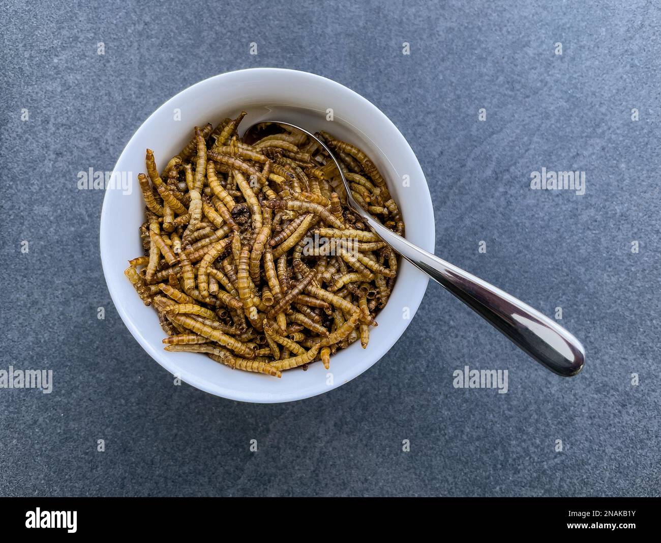Bowl with dessert spoon in it Snack food Food made from insects