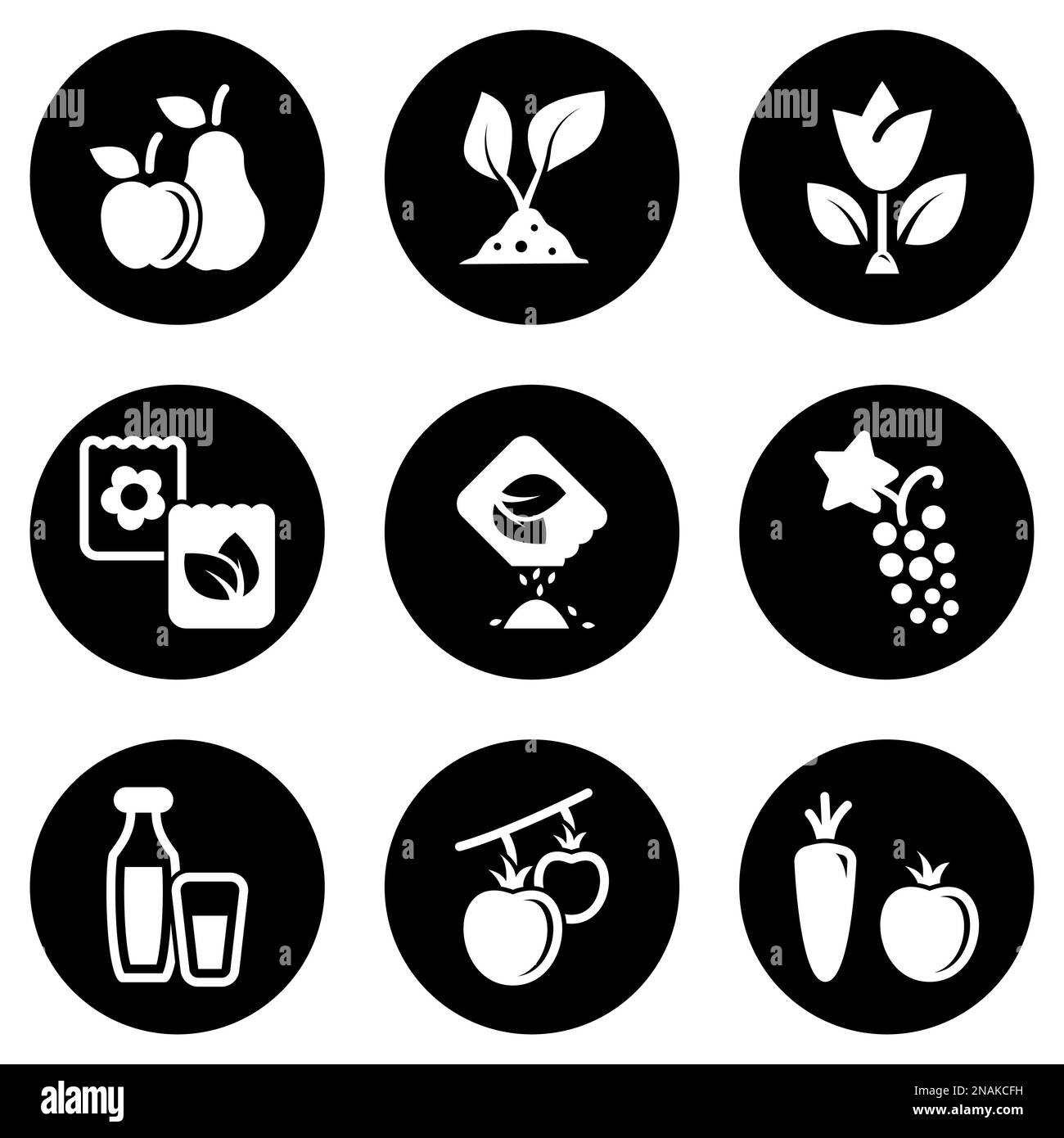 Set of simple icons on a theme Food, natural, eco-friendly, grown, fruits, vegetables, vector, set. White background Stock Vector