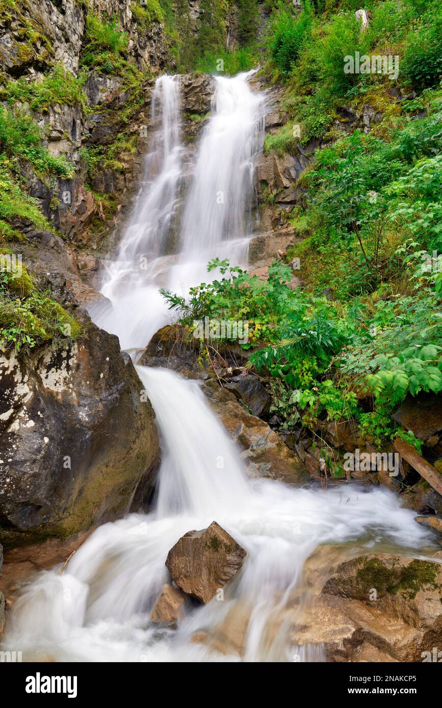 Tervela hi-res stock photography and images - Alamy