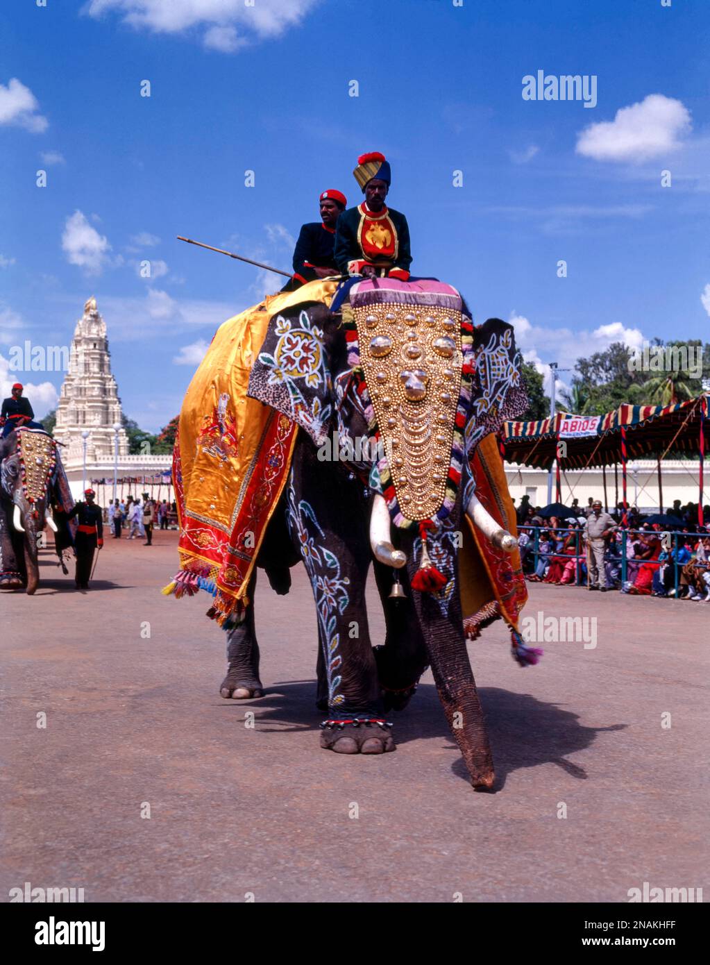 Decorated elephant at Dussera festival in Mysuru, Mysore, Karnataka
