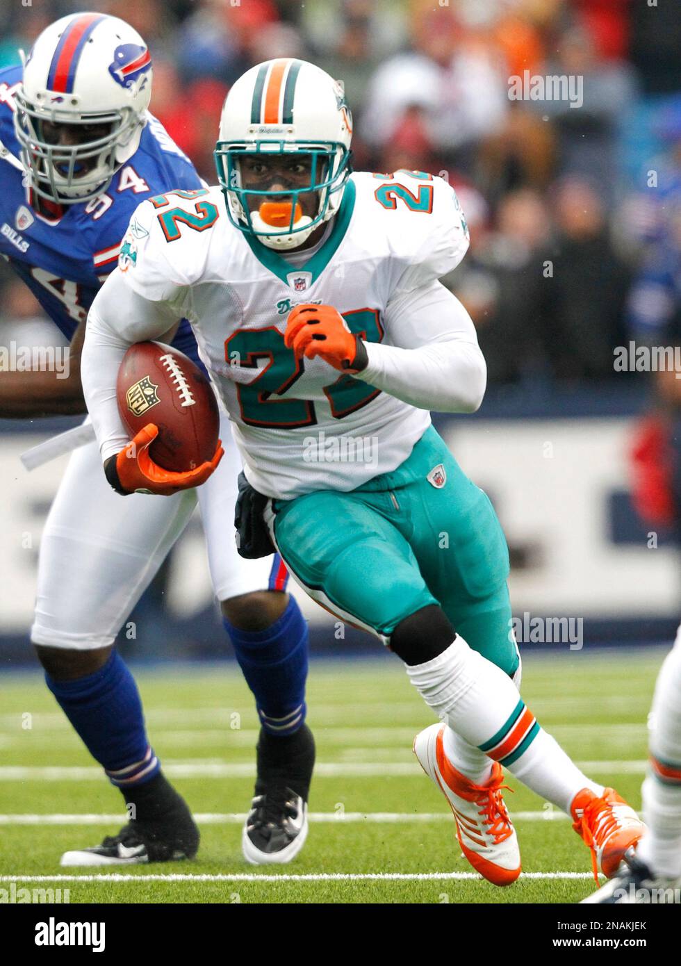 Miami Dolphins' running back Reggie Bush (22) runs with the ball during the  second quarter of an NFL football game against the New York Giants Sunday,  Oct. 30, 2011 in East Rutherford