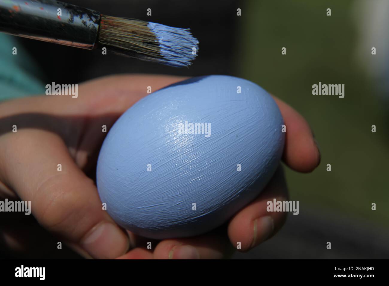 A child painting a real egg with blue paint for Easter with paintbrush, crafting, UK Stock Photo