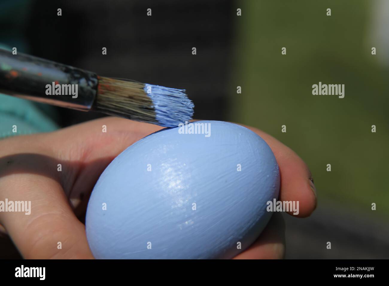 Painting a real egg with blue paint for Easter with paintbrush, crafting, UK Stock Photo