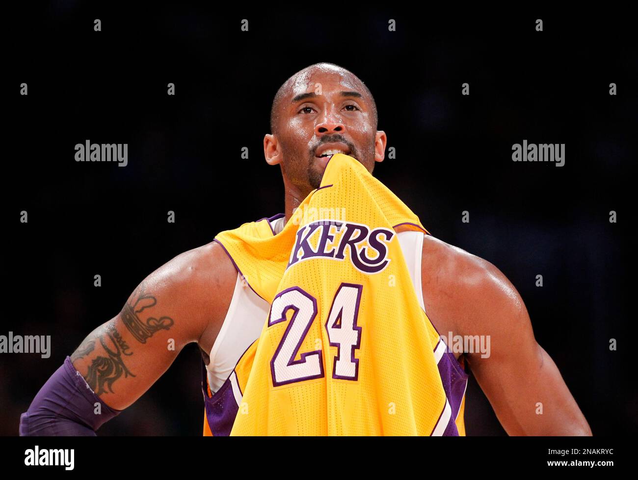 Kobe bite 2025