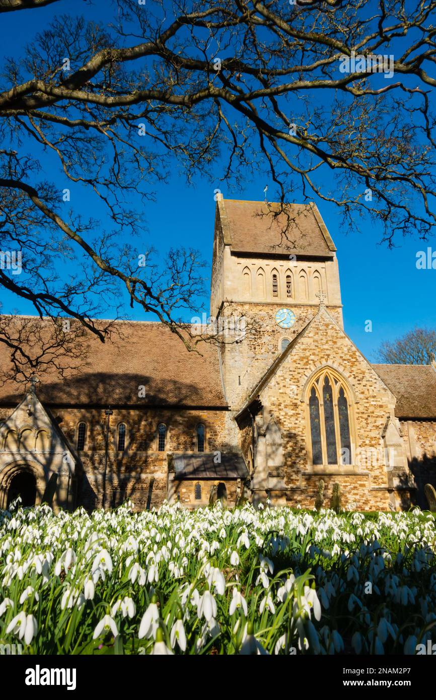 Looking over snowdrops at St Lawrences parish church. Castle Rising, Kings Lynn, Norfolk Stock Photo